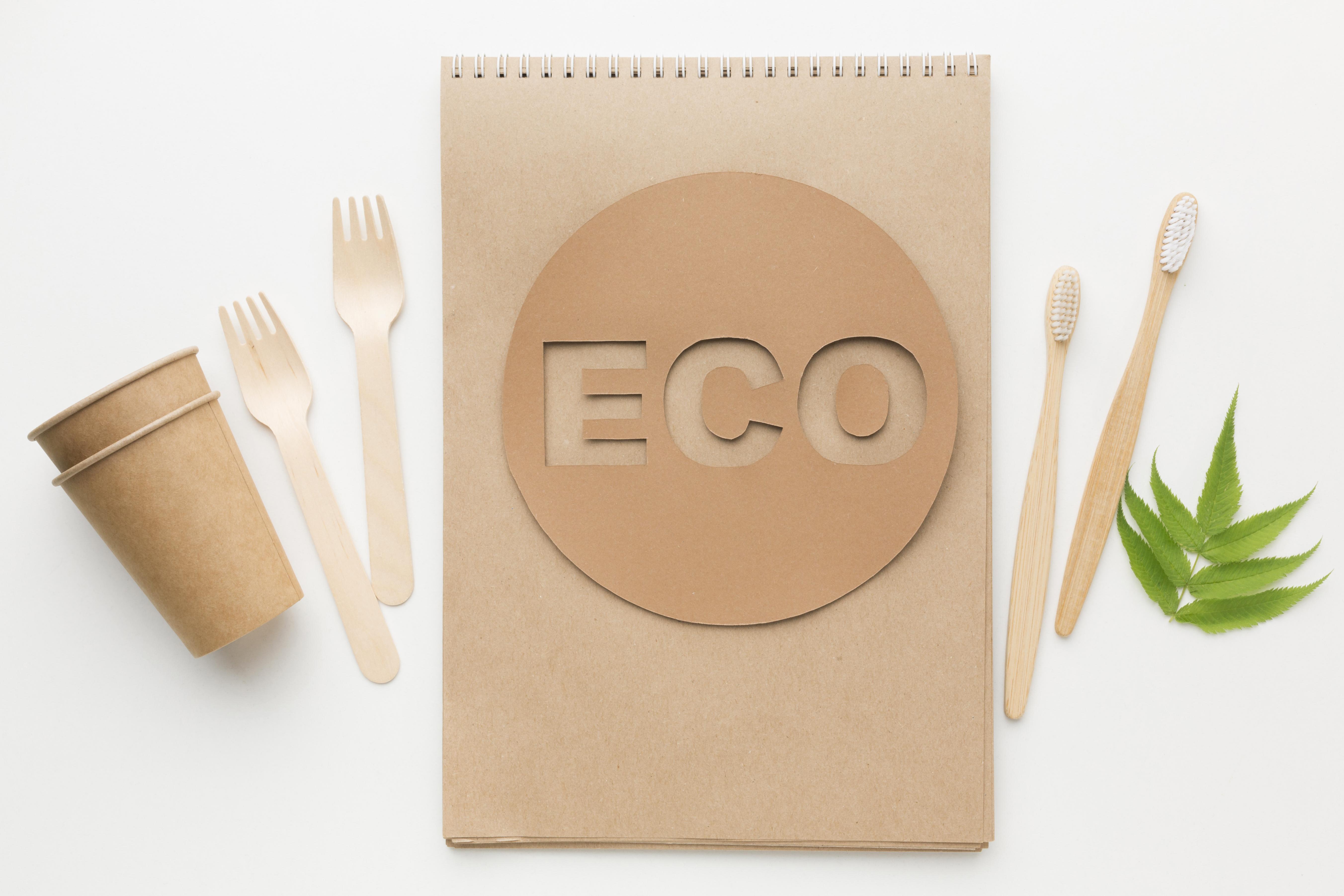 Développement conteneurs biodégradables